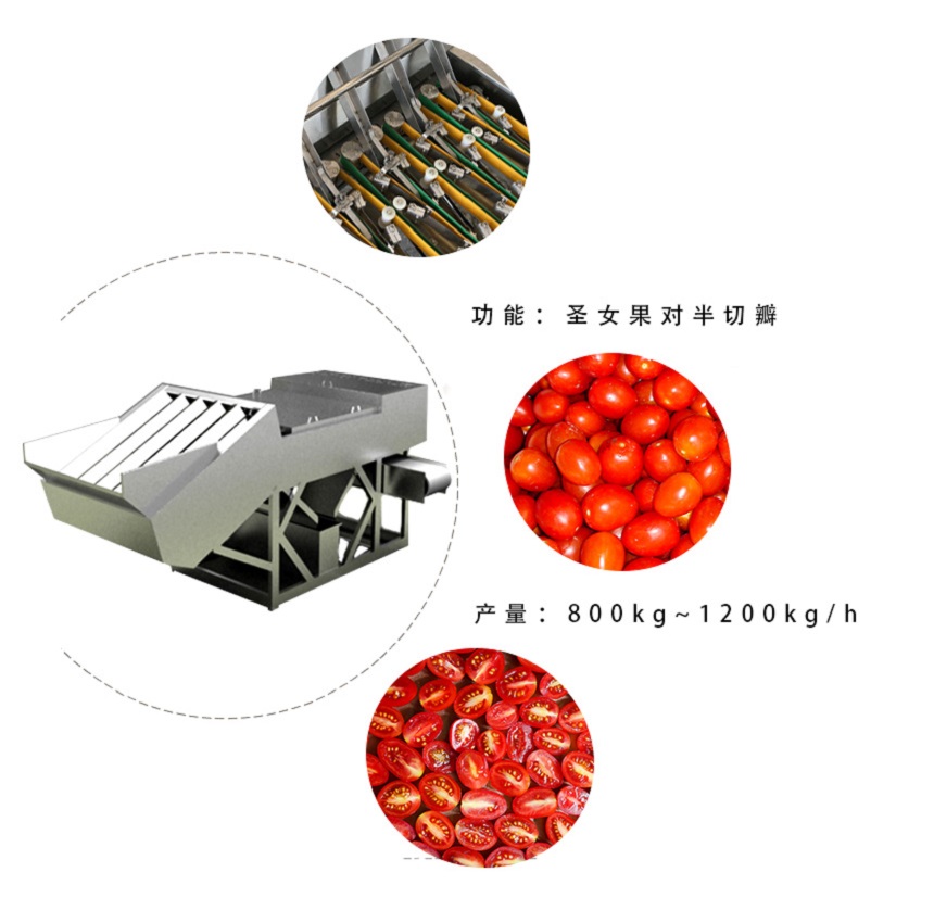 圣女果加工生產線